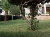 pcn3.gif (282832 bytes)